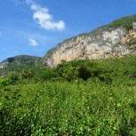 Viñales