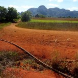 Viñales