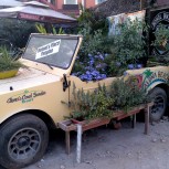 Atrakce u restaurace