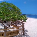 Virgin Island