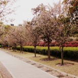 Park
