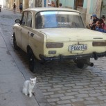 Havana